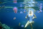 Купаясь в море, остерегайтесь медуз.
Медузы.
В щупальцах медуз содержится яд, который вызывает острую боль или в некоторых случаях опасен для жизни. Ожоги обычно происходят из-за неосторожного обращения с медузами, купания или перехода вброд среди них.